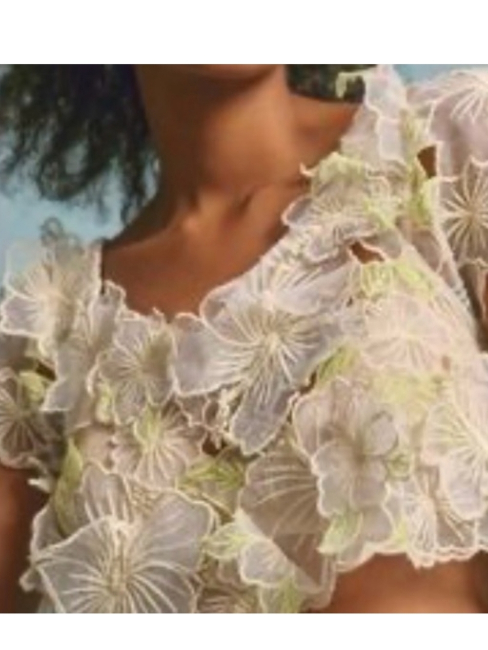ANTHROPOLOGIE Cropped 3D Floral Appliqué Sheer Blouse Cream Green Medium NWT - Picture 3 of 7